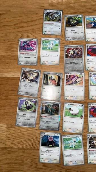galleryimage 2
