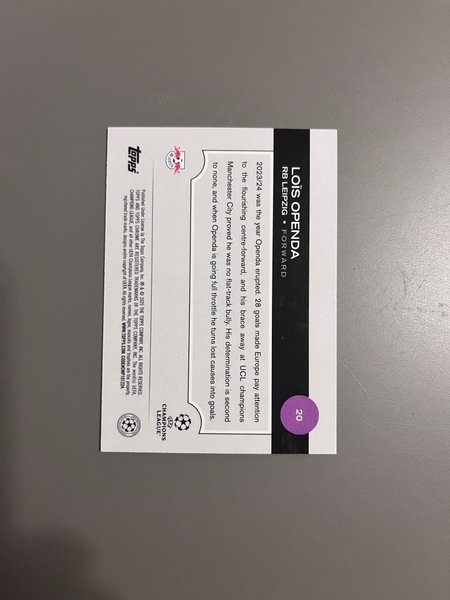 galleryimage 2 zoomed in