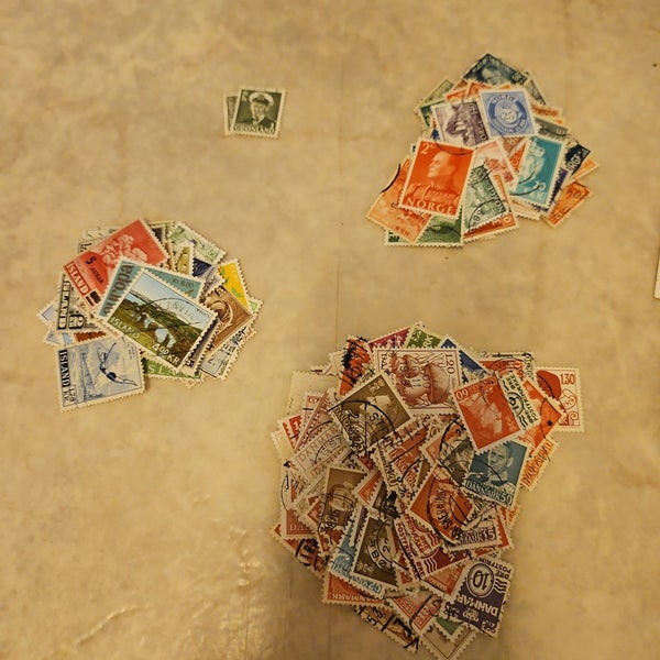 galleryimage 3