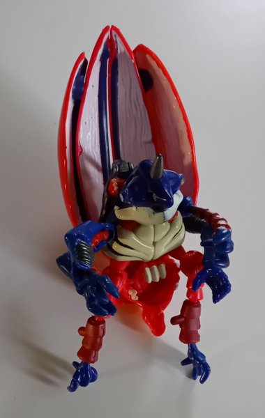 galleryimage 2