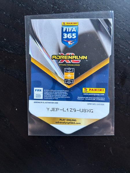 galleryimage 2 zoomed in