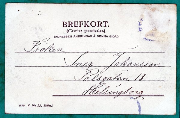 galleryimage 2 zoomed in