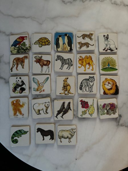 galleryimage 3