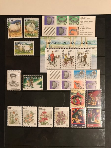 galleryimage 3