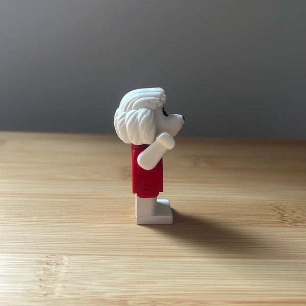galleryimage 3