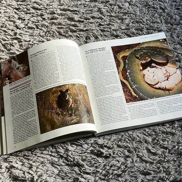 galleryimage 3