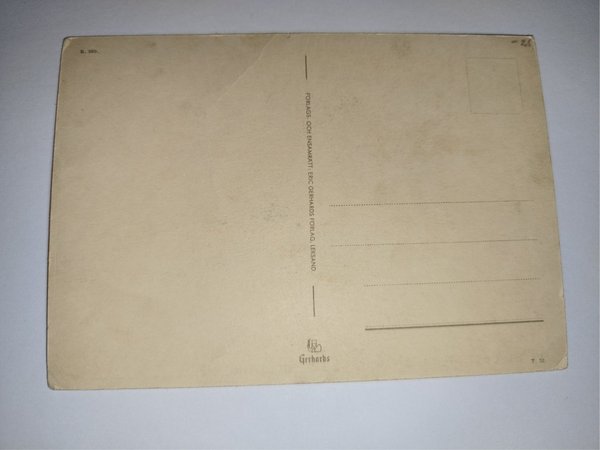 galleryimage 2