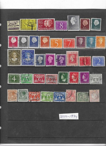 galleryimage 2 zoomed in