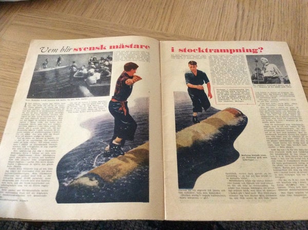 galleryimage 3