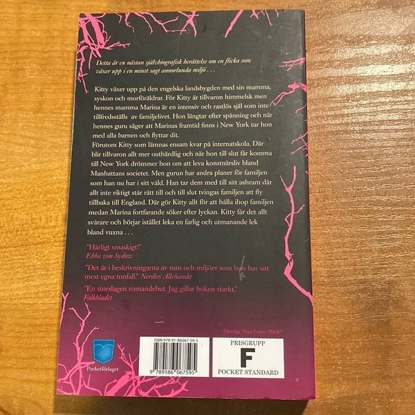 galleryimage 2 zoomed in