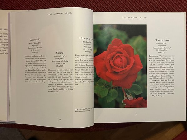 galleryimage 3