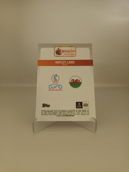 galleryimage 2 zoomed in