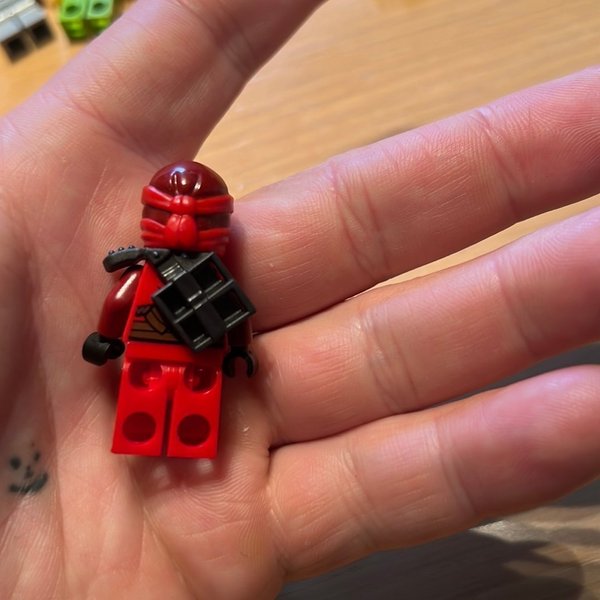 galleryimage 2 zoomed in