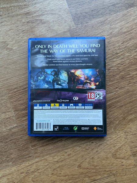 galleryimage 2 zoomed in