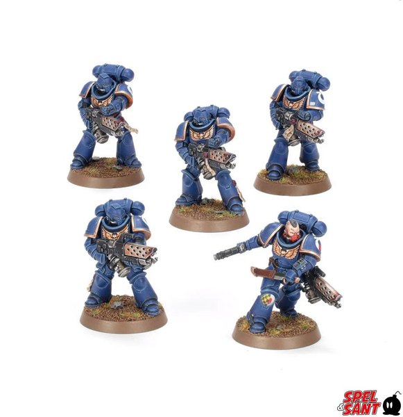 galleryimage 2