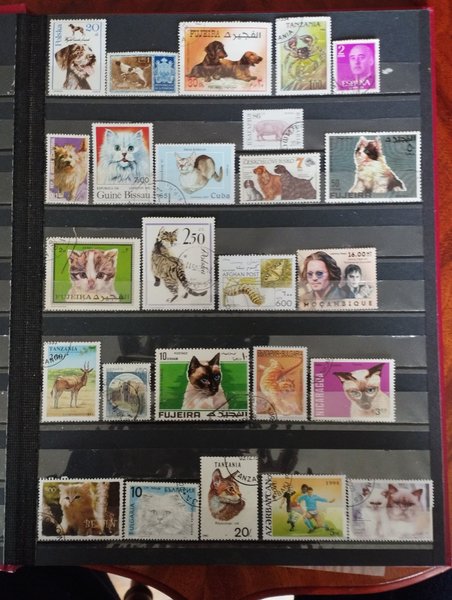 galleryimage 2 zoomed in