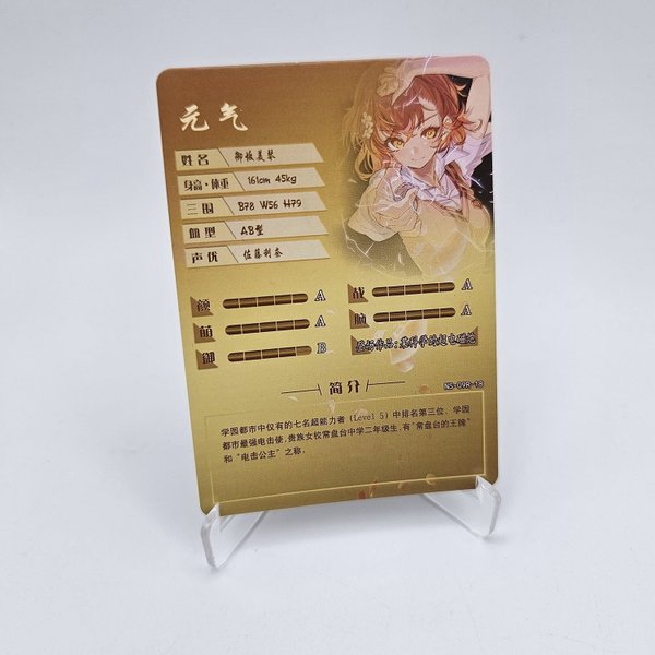 galleryimage 2