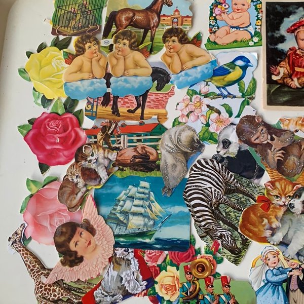 galleryimage 2