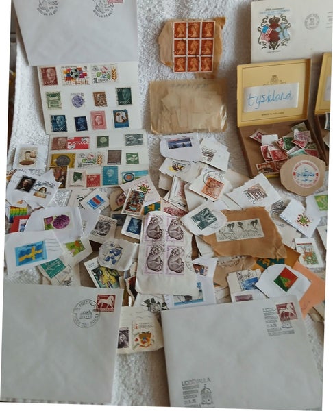 galleryimage 3