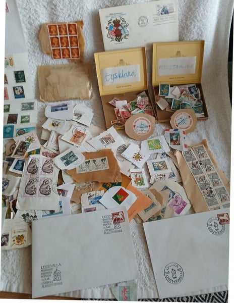 galleryimage 2