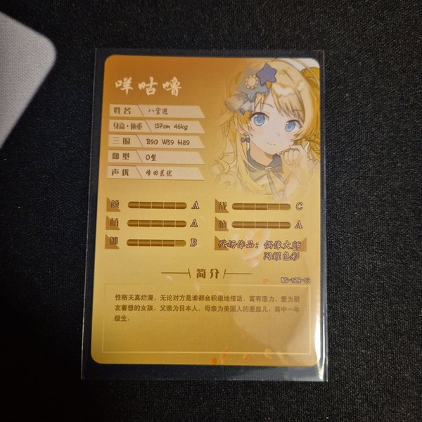 galleryimage 2 zoomed in