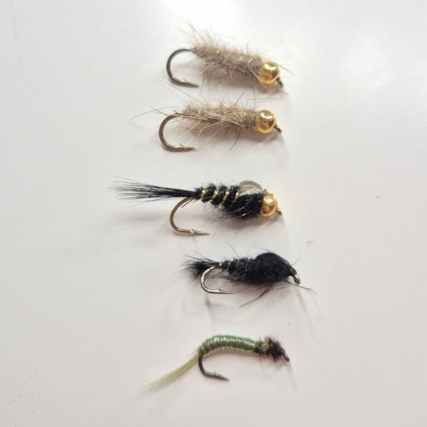 galleryimage 2 zoomed in