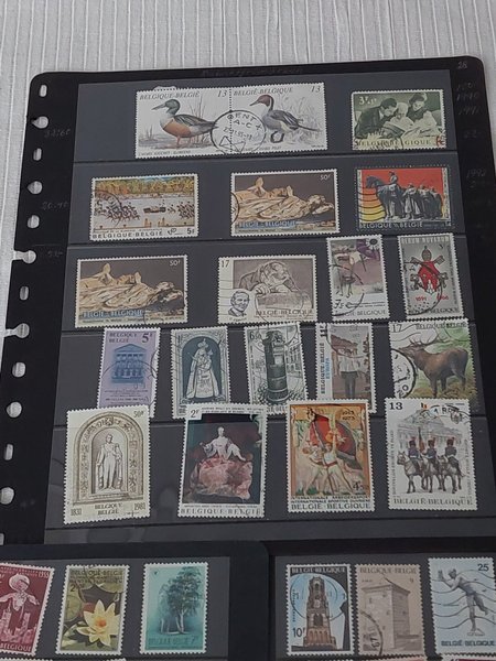 galleryimage 2