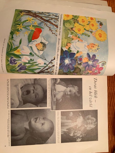 galleryimage 3
