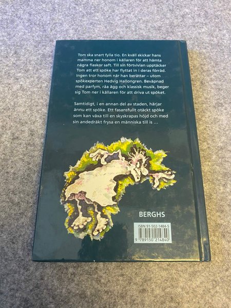 galleryimage 2 zoomed in