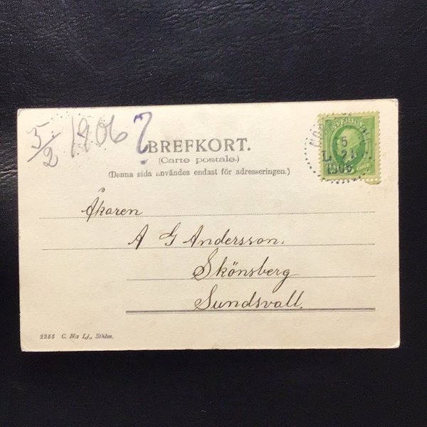 galleryimage 2 zoomed in