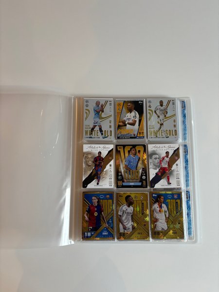galleryimage 2