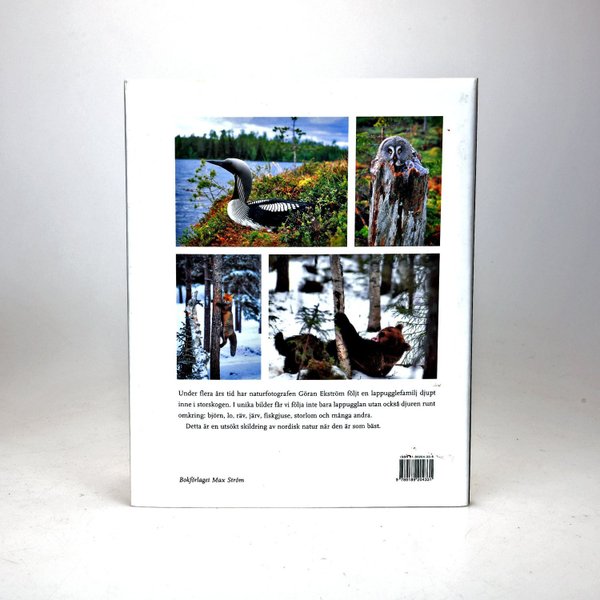 galleryimage 3