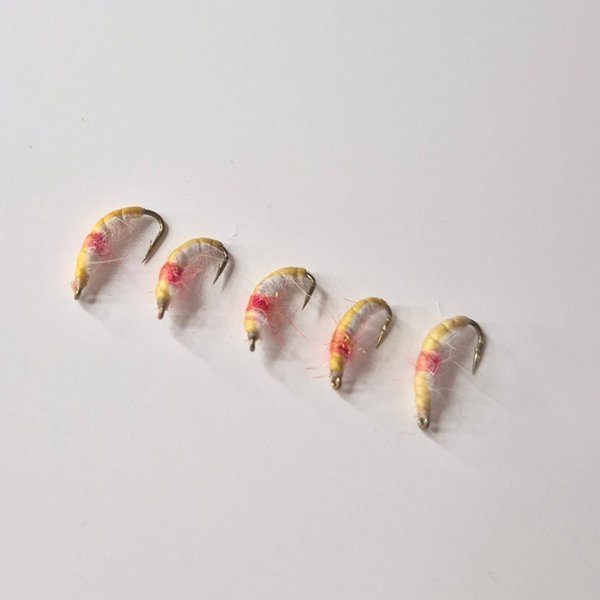 galleryimage 2 zoomed in