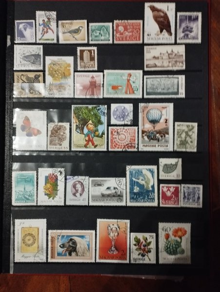 galleryimage 2 zoomed in