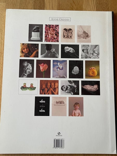 galleryimage 3