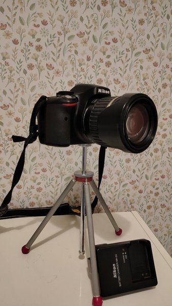 galleryimage 2