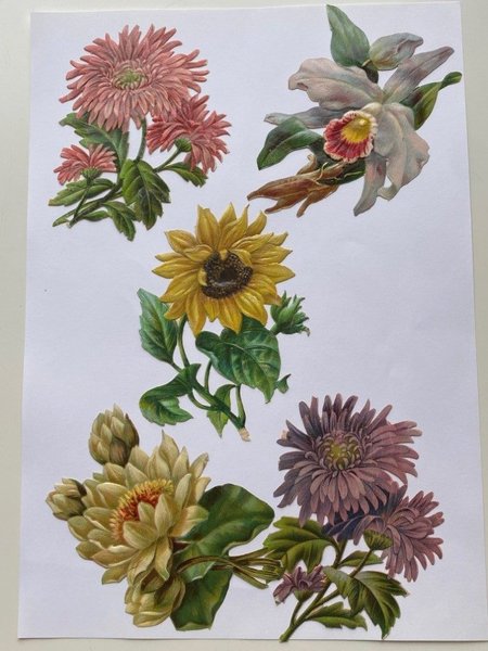 galleryimage 2 zoomed in