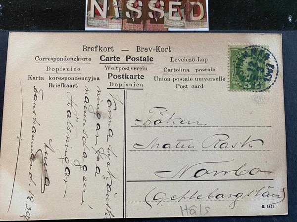 galleryimage 2 zoomed in