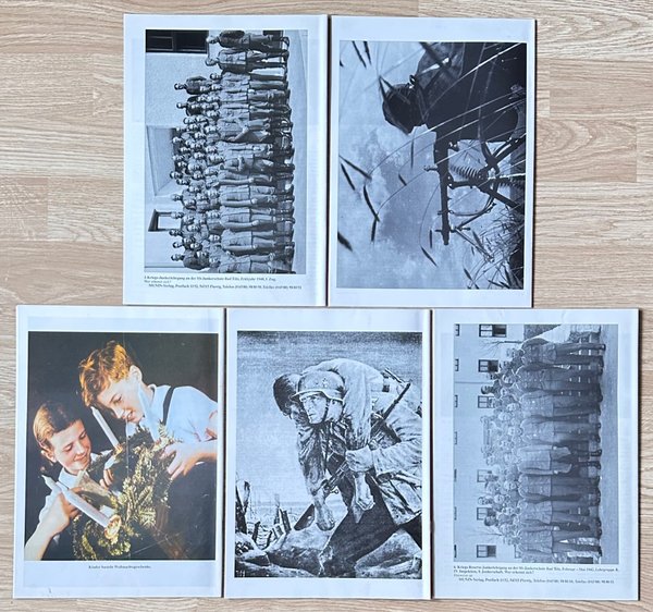 galleryimage 3
