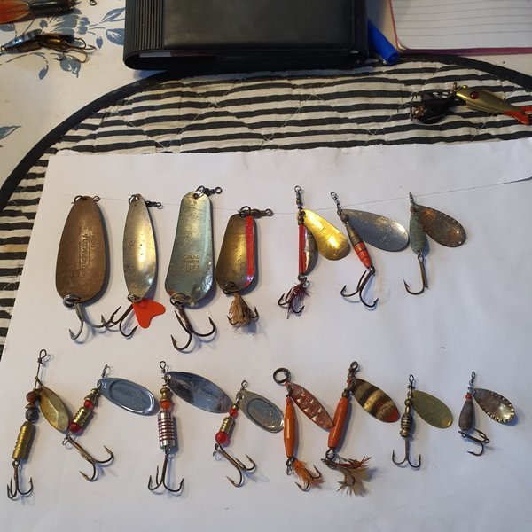 galleryimage 2 zoomed in