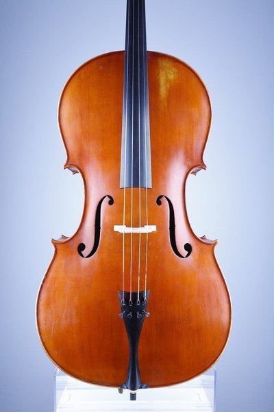 galleryimage 3