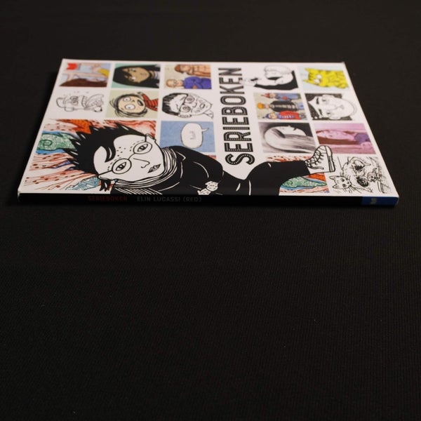 galleryimage 3