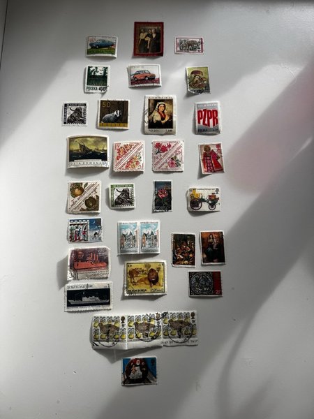 galleryimage 2