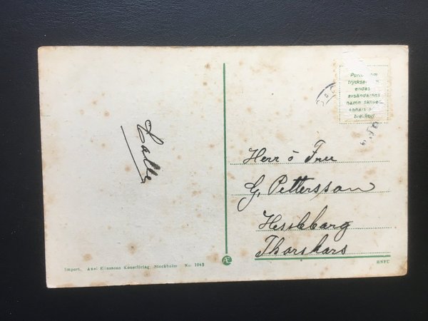 galleryimage 2 zoomed in