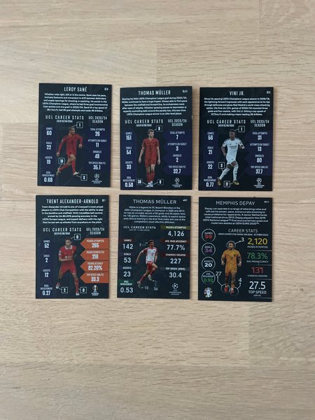 galleryimage 2 zoomed in