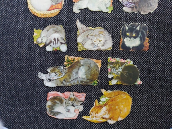 galleryimage 3