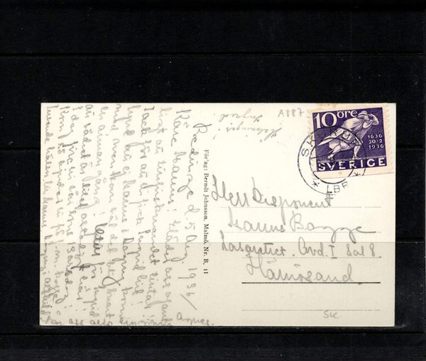 galleryimage 2 zoomed in