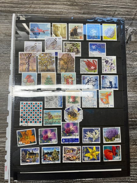 galleryimage 3