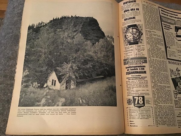 galleryimage 2