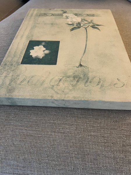 galleryimage 2 zoomed in